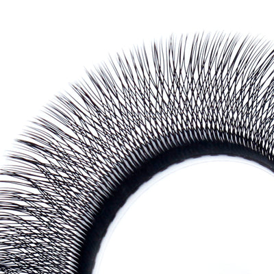 LUKATME 4D W Eyelashes Premade Textured Volume Beginners Eyelash Extension 4D Fans W Shape False Eyelashes