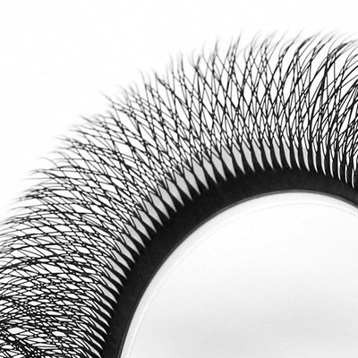 LUKATME 6D W Eyelashes Premade Textured Volume Beginners Eyelash Extension 6D Fans W Shape False Eyelashes